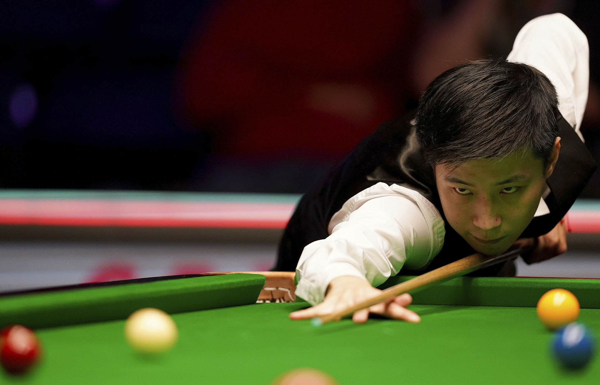 的坚定偏好 的坚定偏好